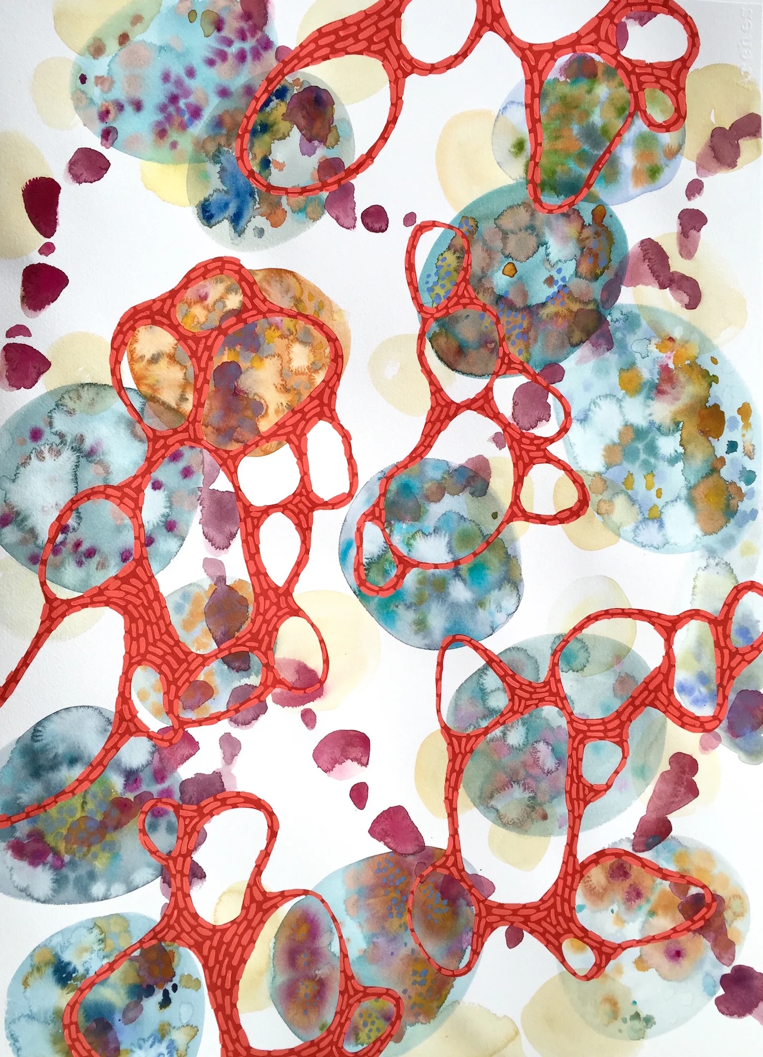 ErinMcIntosh_Microbe5_30x22_watercolorgouacheonpaper_2017 copy 2.jpg
