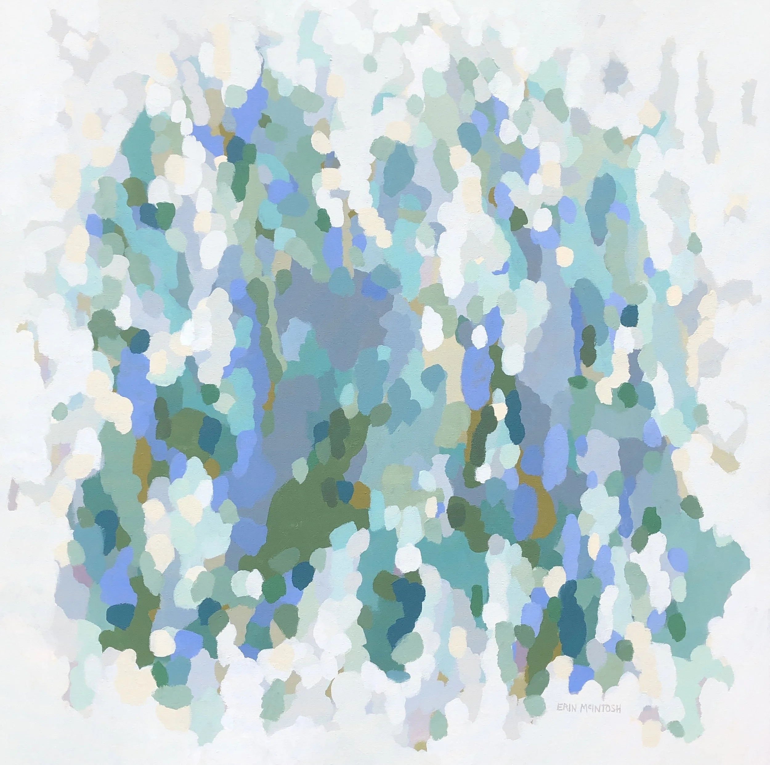 Erin McIntosh, Garden VI, 40x40, 3200.jpg