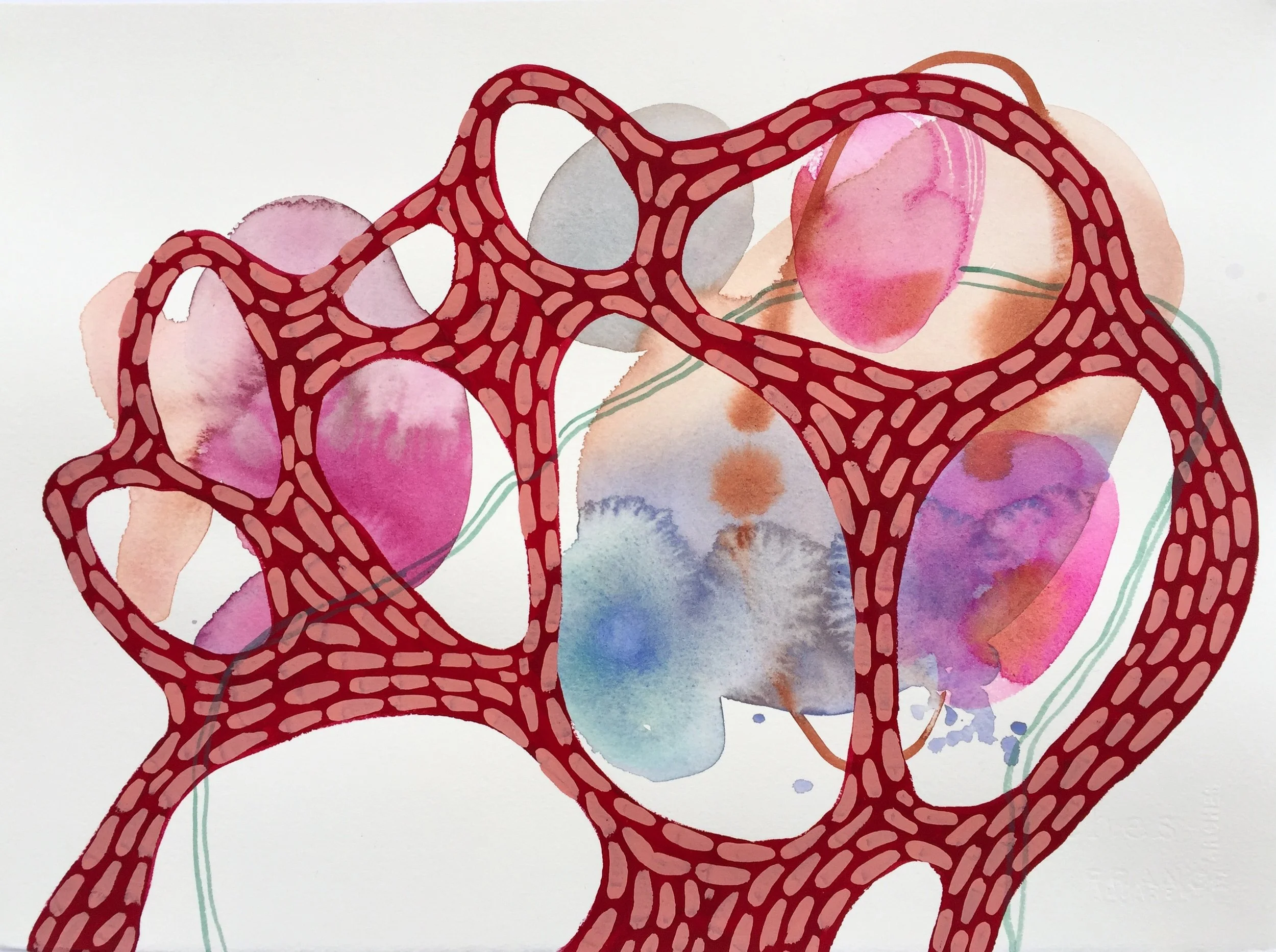 Erin McIntosh, Microbe Dance Minimal Salmon and Red, 14x18,700.jpg