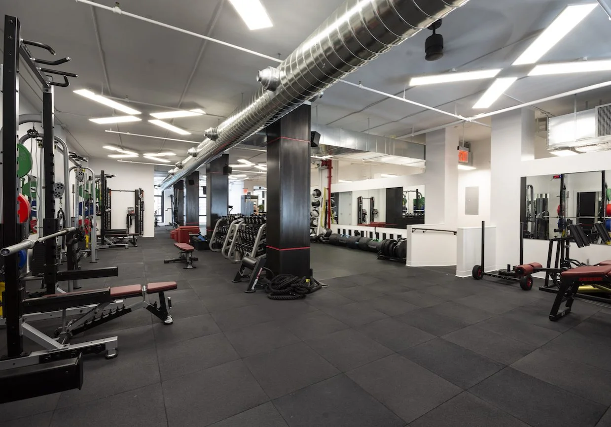 1_The-Training-Floor-landscape.jpg