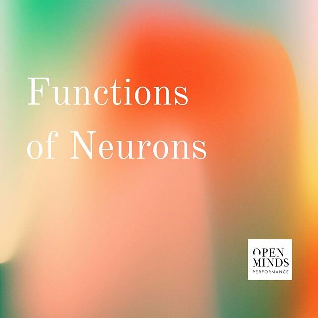 Did you know there are approximately 100 billion neurons in your brain?⁣
⁣
Functions of brain neurons:⁣
⁣
&bull; Receiving impulses from other cells ⁣
&bull; Assessing info from the impulses and forwarding them onwards ⁣
&bull; Storing data about the