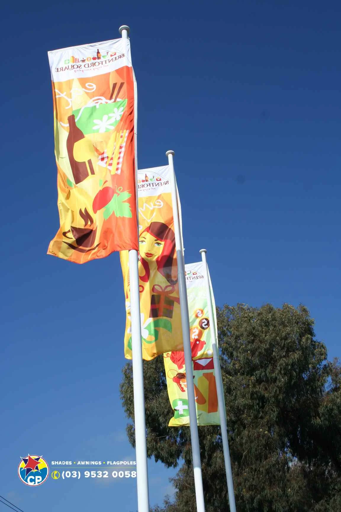 FLAGS Brentford Square 2010_3.jpg