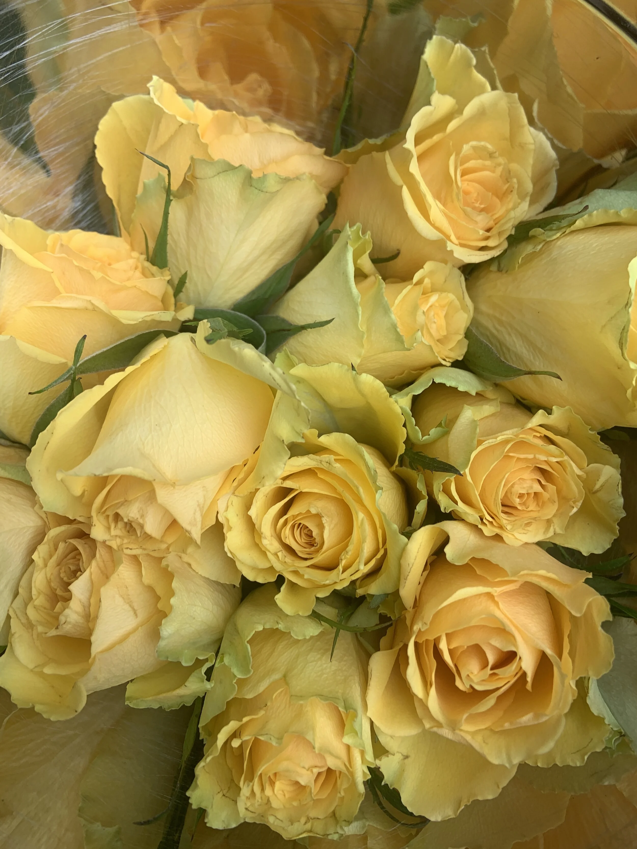 Signs, messages and a ritual for momma...