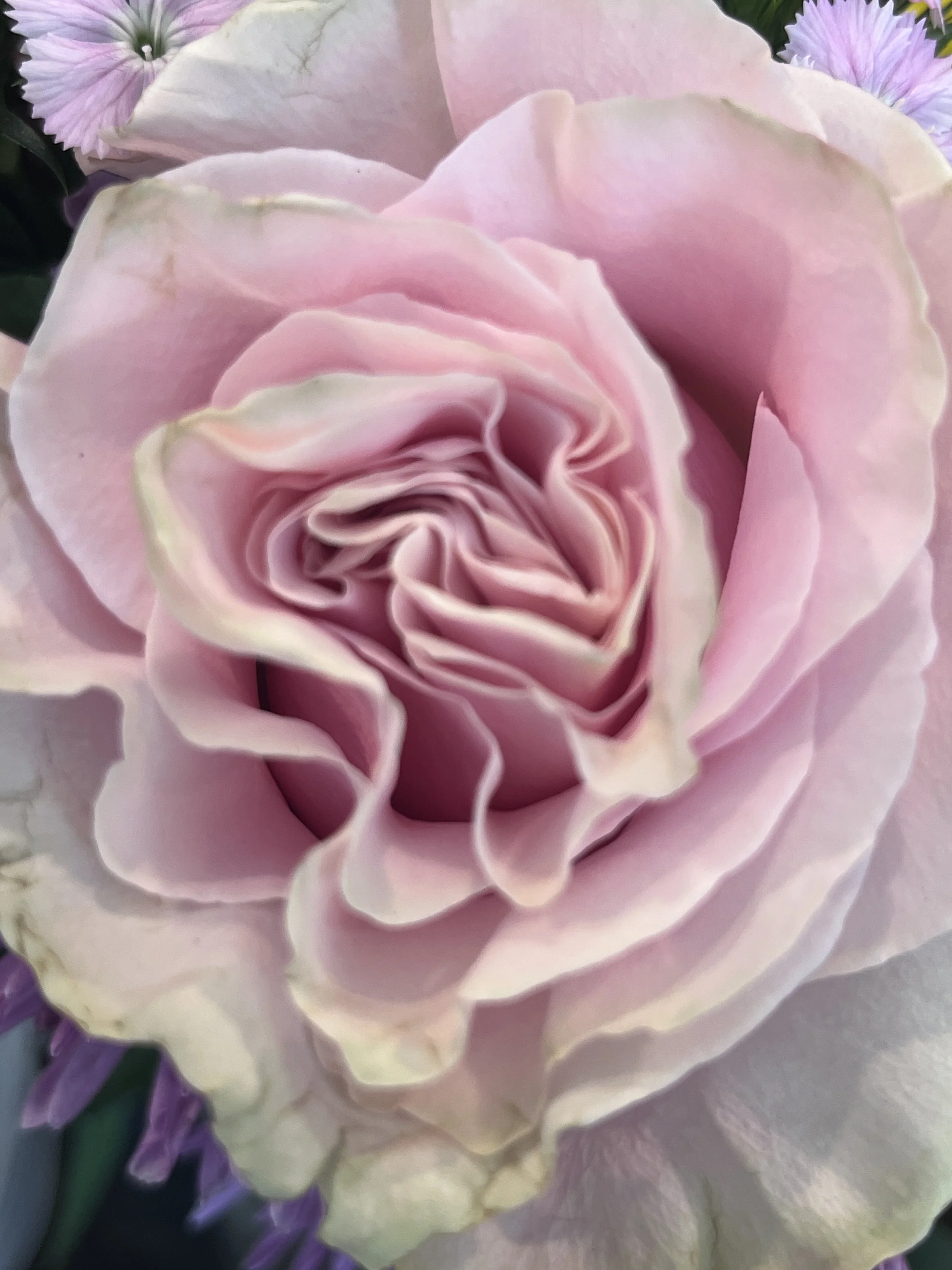 Spring Morning: Honoring the Equinox🌸🙏