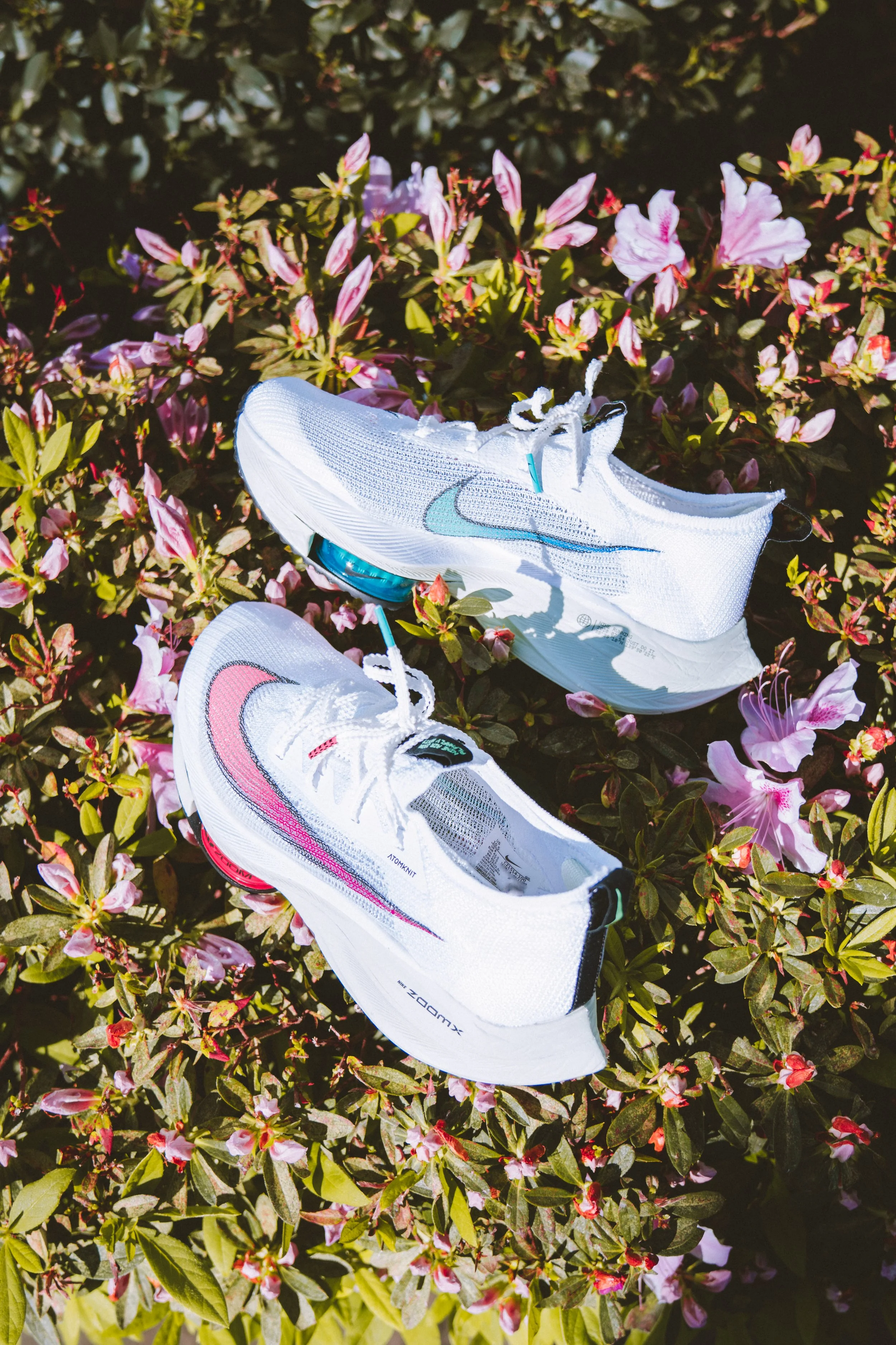 nike-1.jpg
