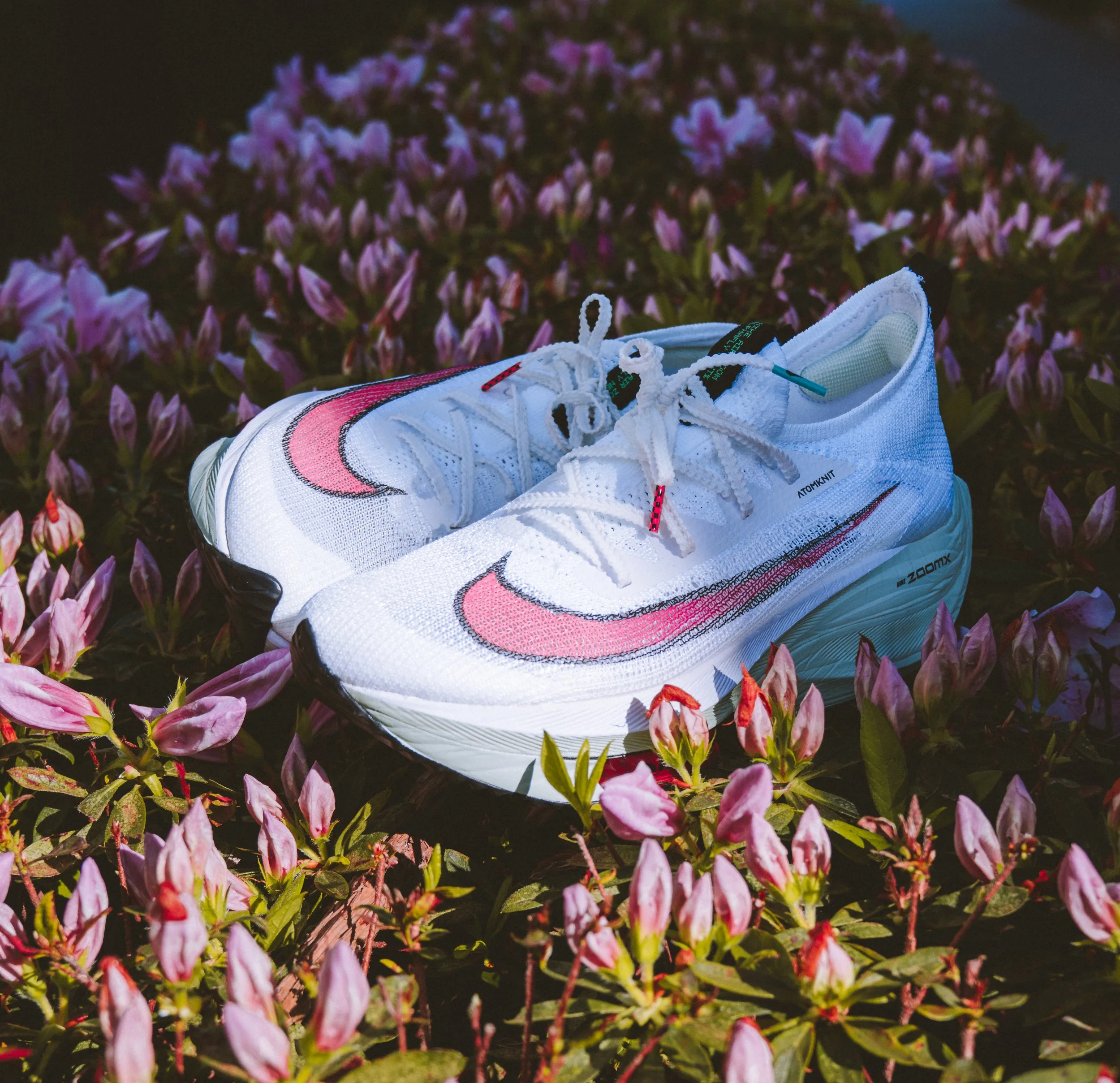 nike-4.jpg