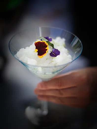 Frozen Cocktail 2.jpg