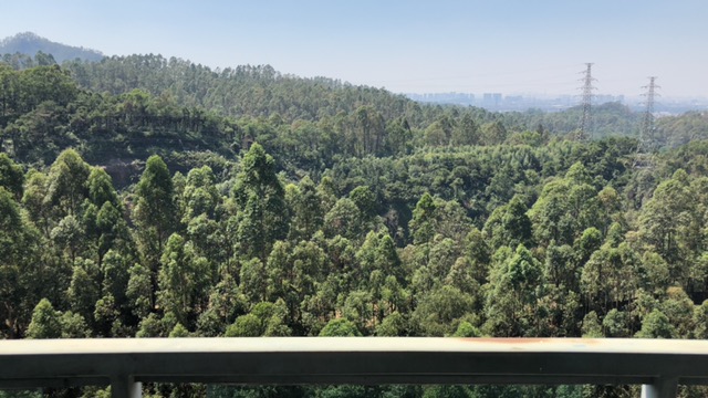 The view from our balcony.