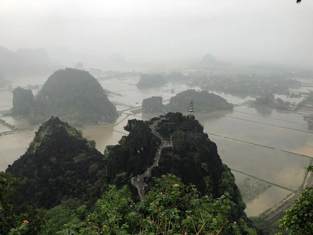 2287c070-5a45-459d-ab65-7b351747953c.jpg