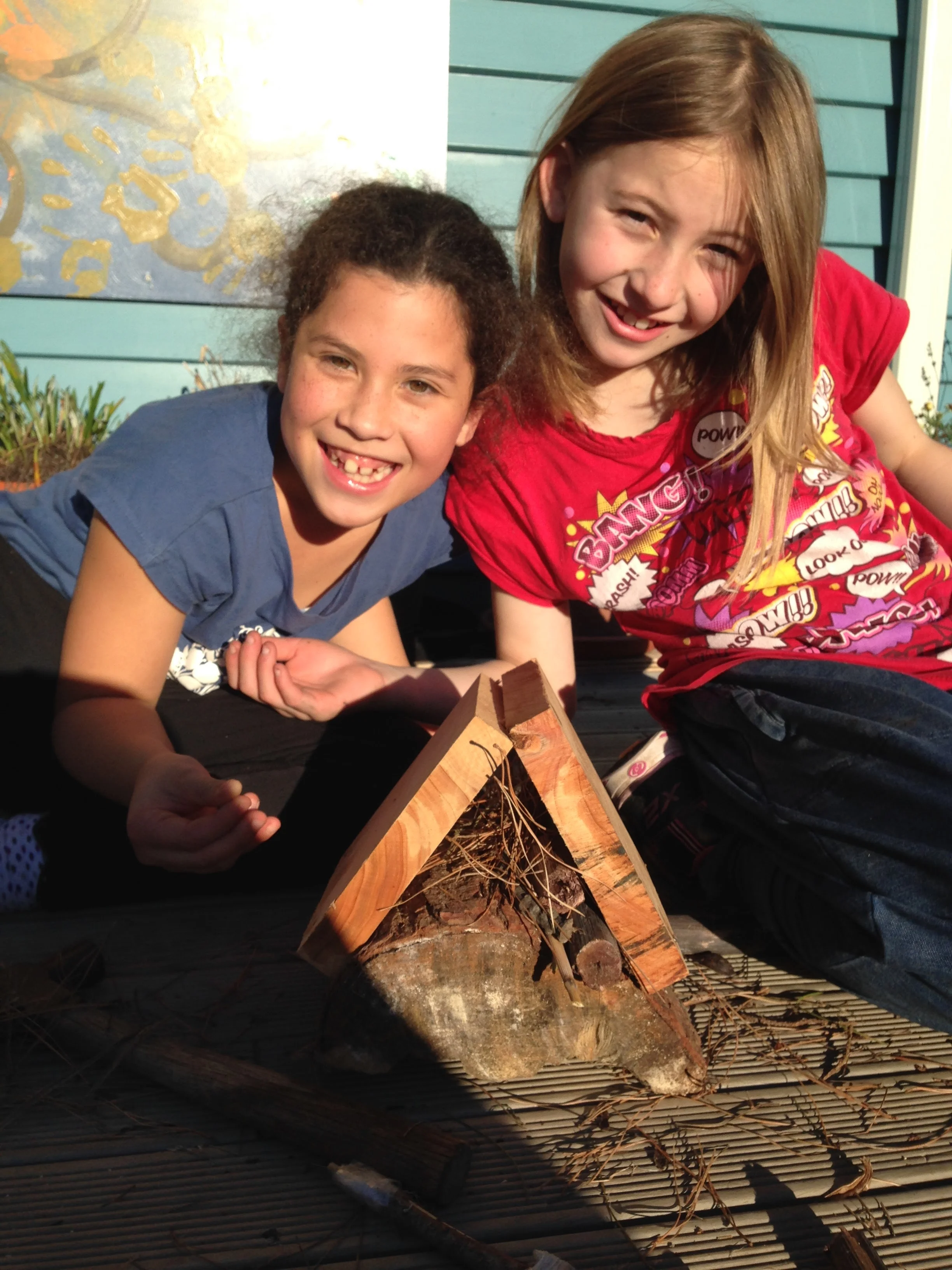 Nutting out a Design and Bug Hotels