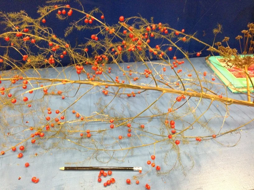 Sustainability Workshop