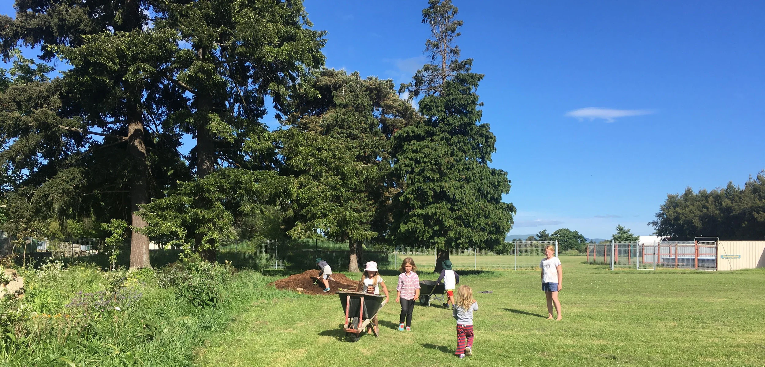 Sunshine, mulching, planting and landscape architect Richard Ashcroft