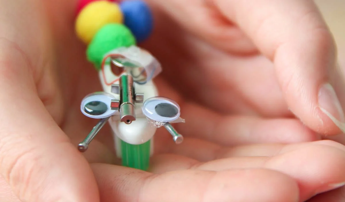 Sustainability Week Events