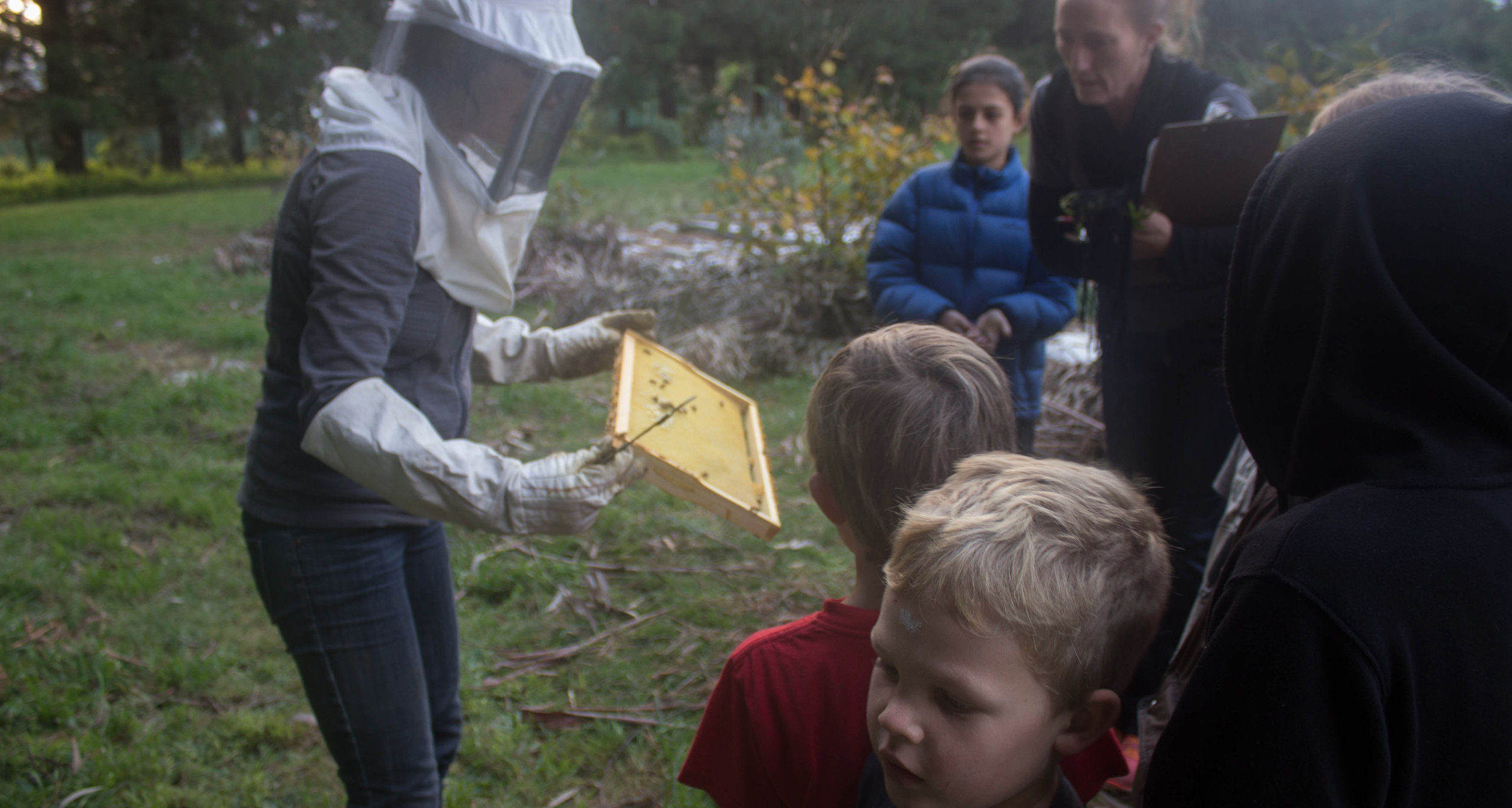 Beekeeping, an Organic market garden and a composting lesson