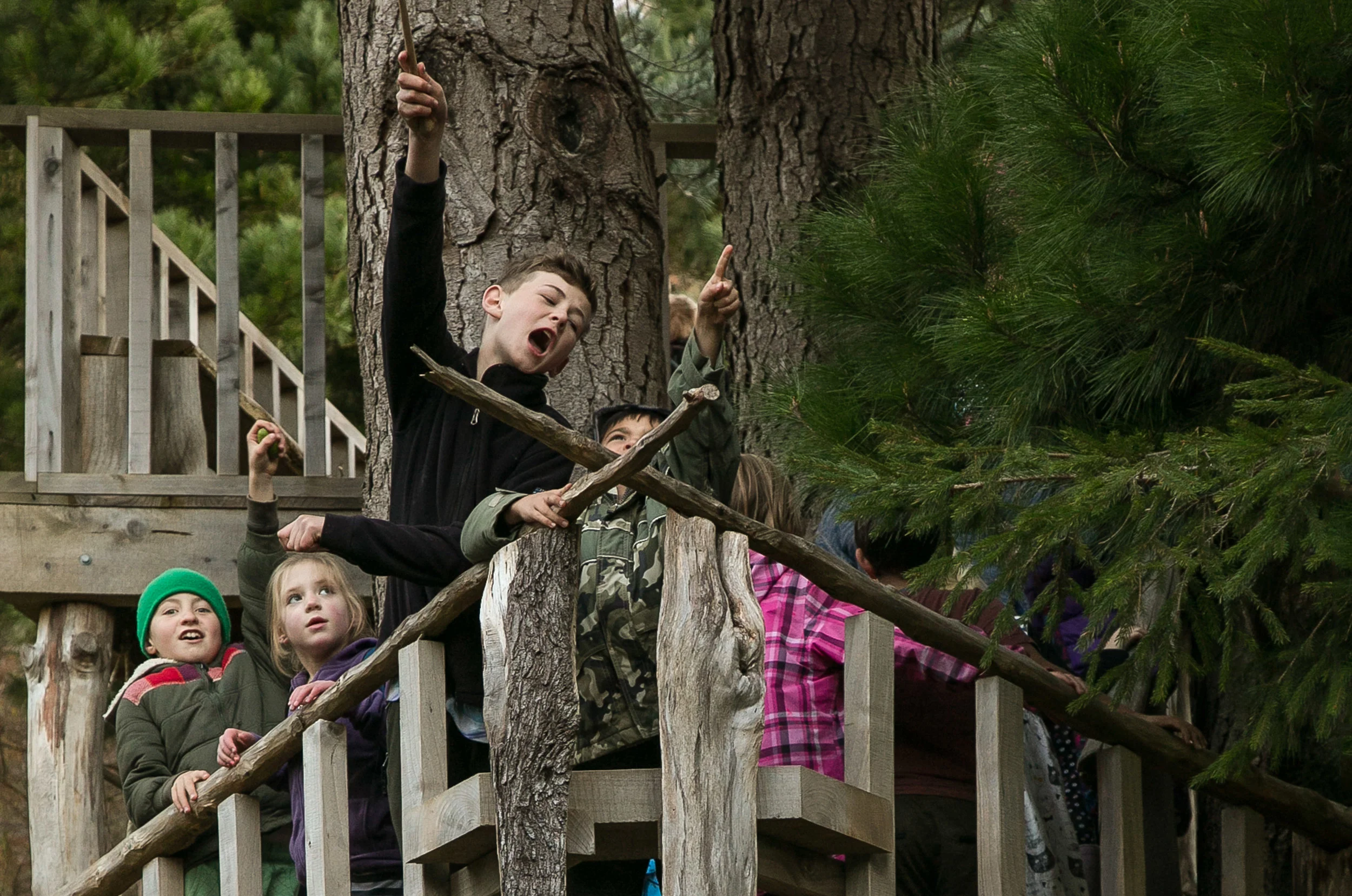 Norfolk Road Adventures