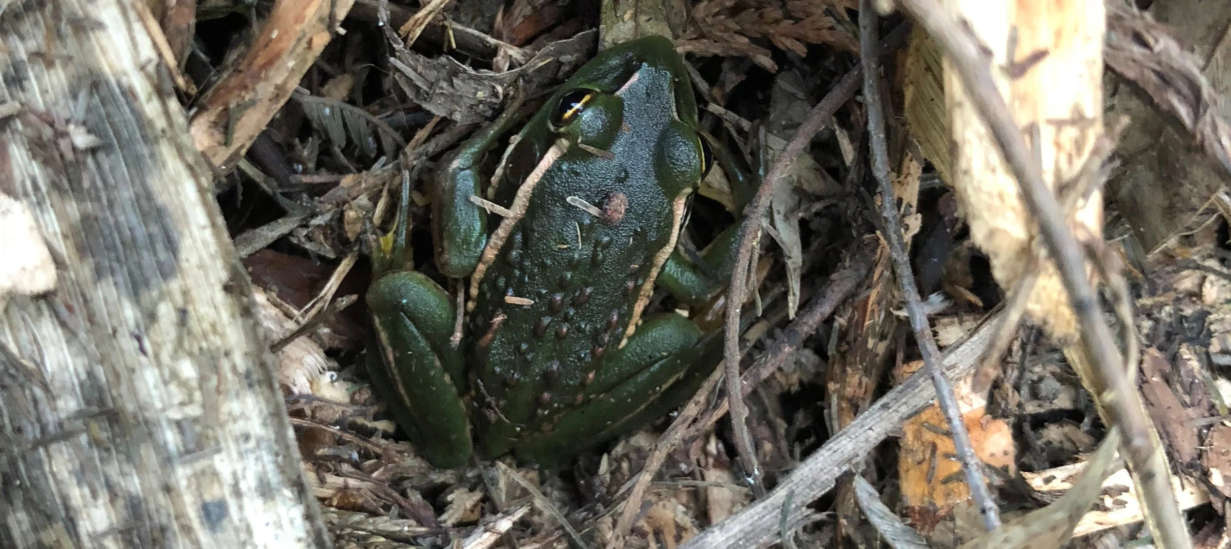 The future is COMPOST!