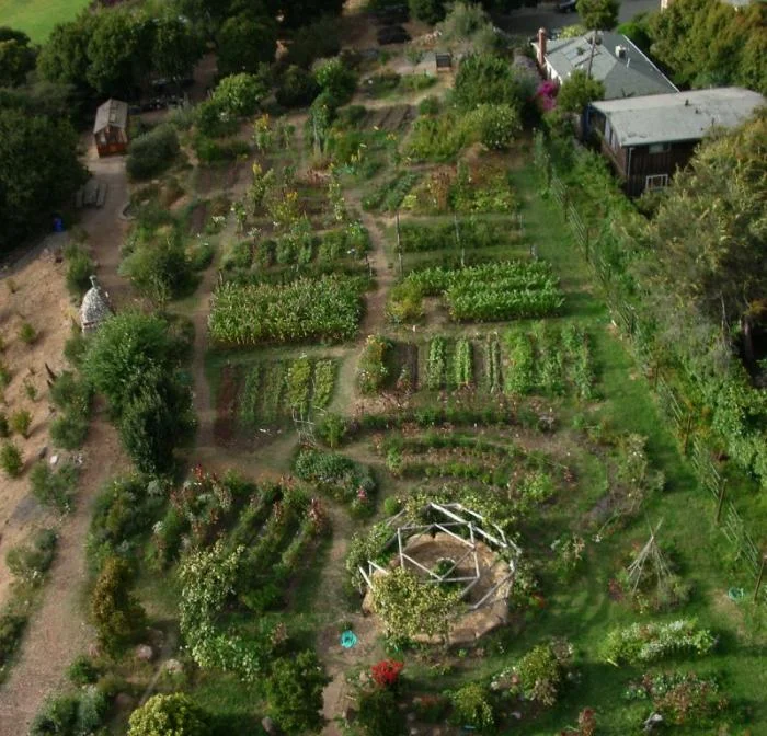 Our First Workshop - Landscape design