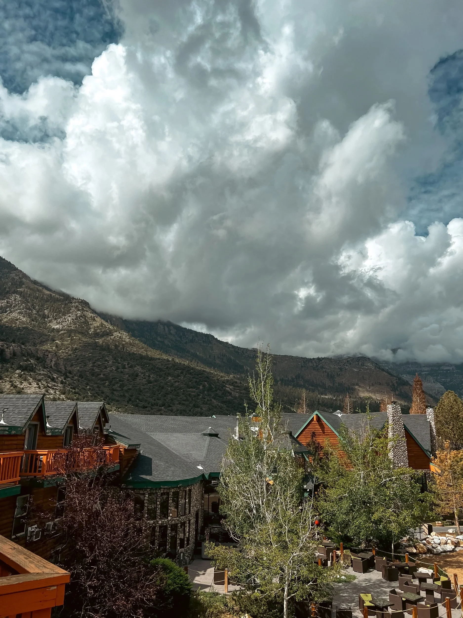 06142470-AAB3-4FFD-9F60-9F750758E8E0.jpeg