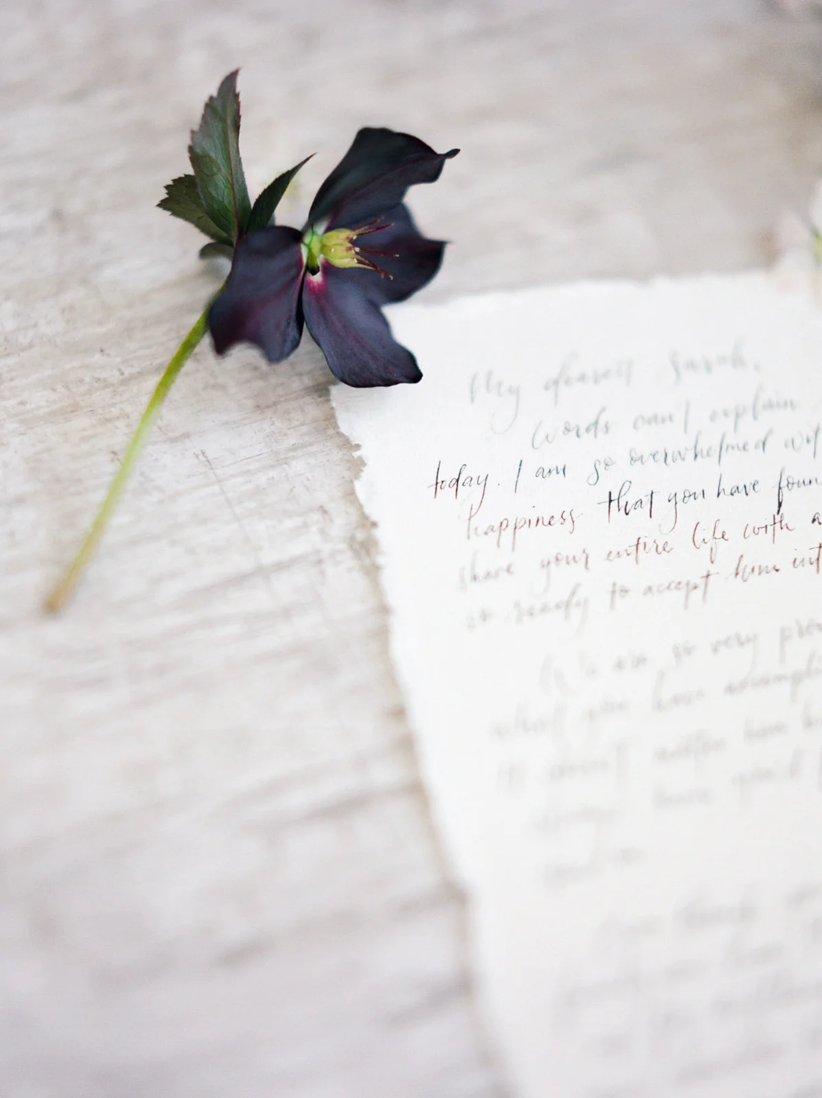 waop_newbeginnings_editorial-0037.jpg