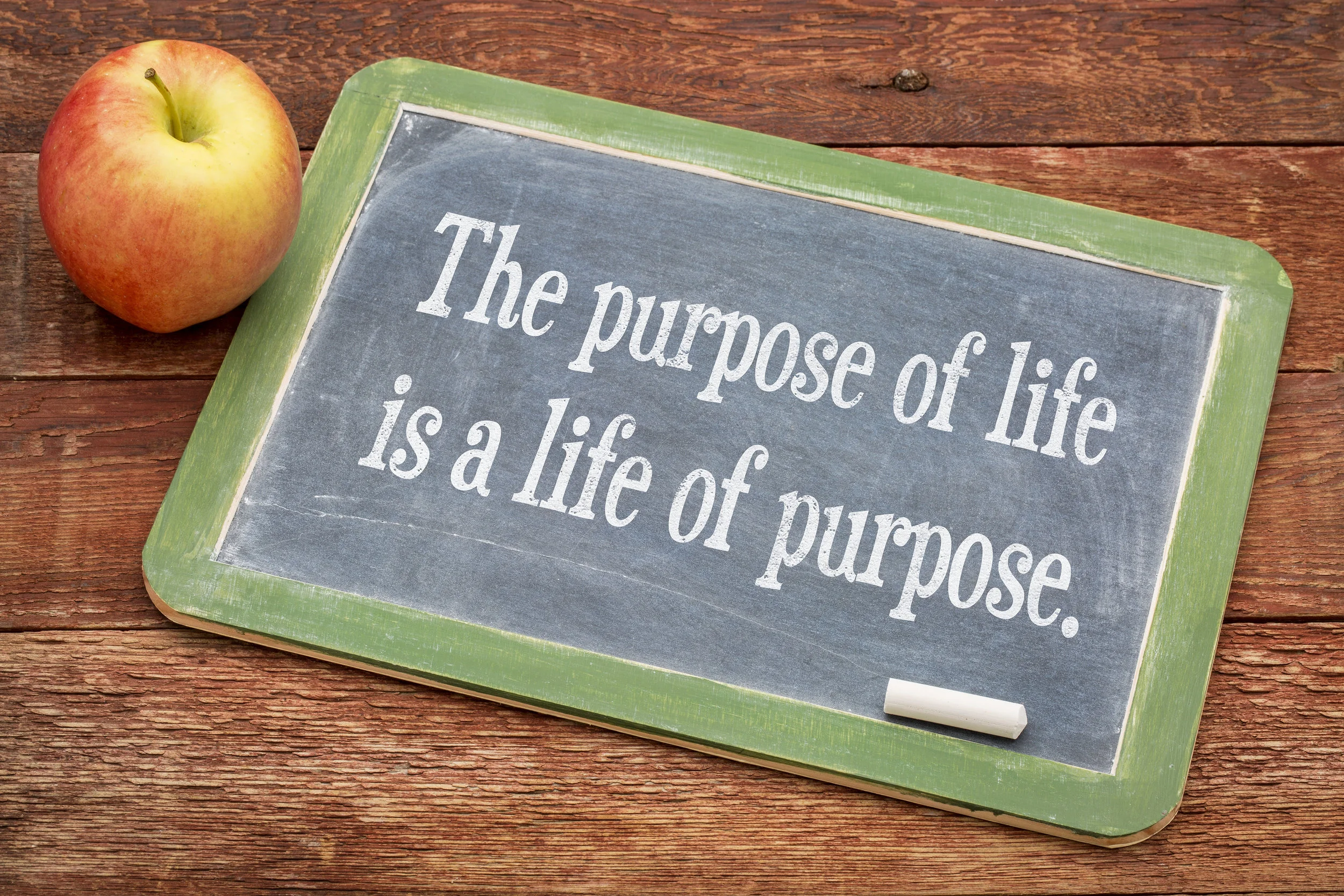 Purpose.jpeg