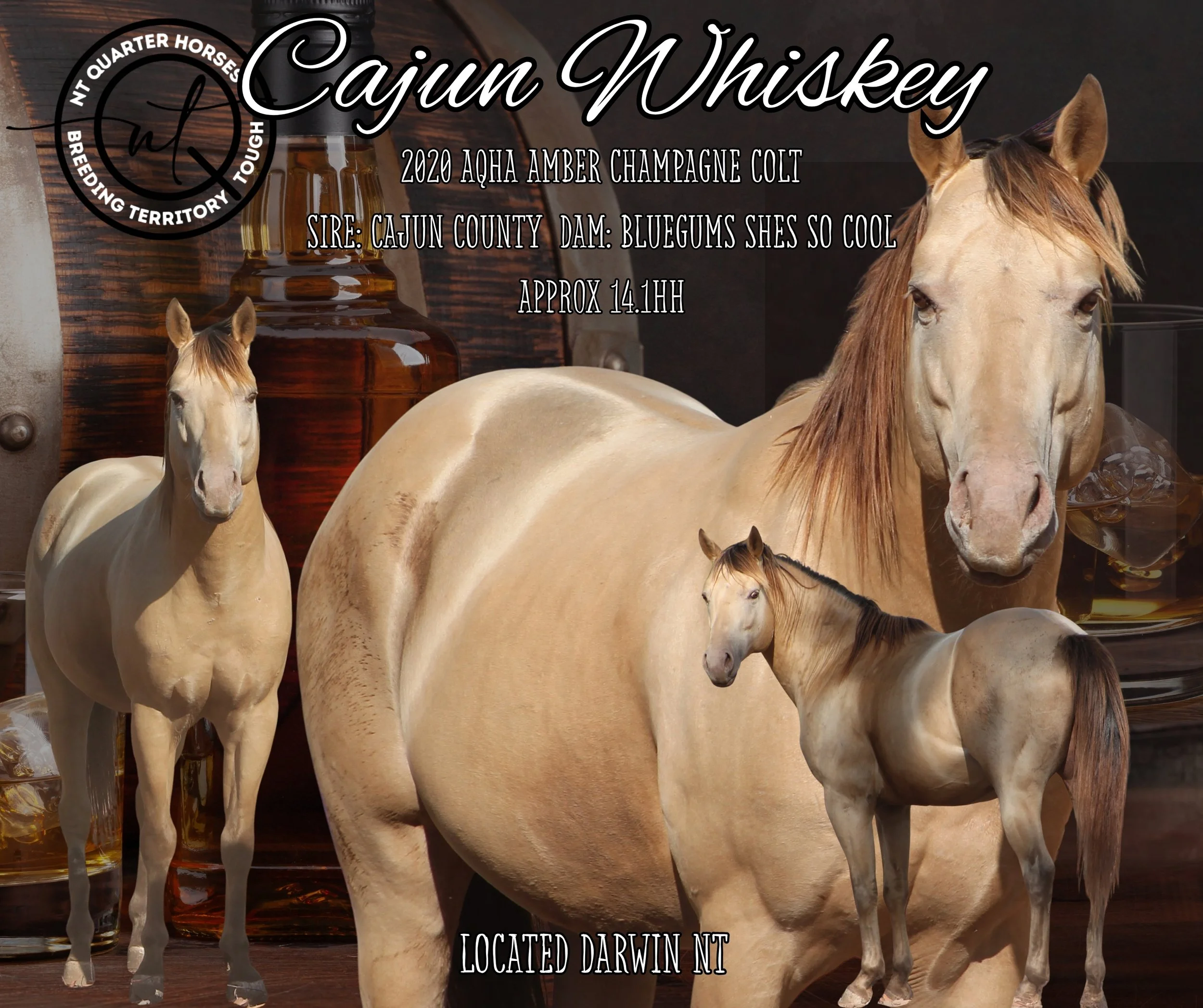 Whiskeycajun.jpg