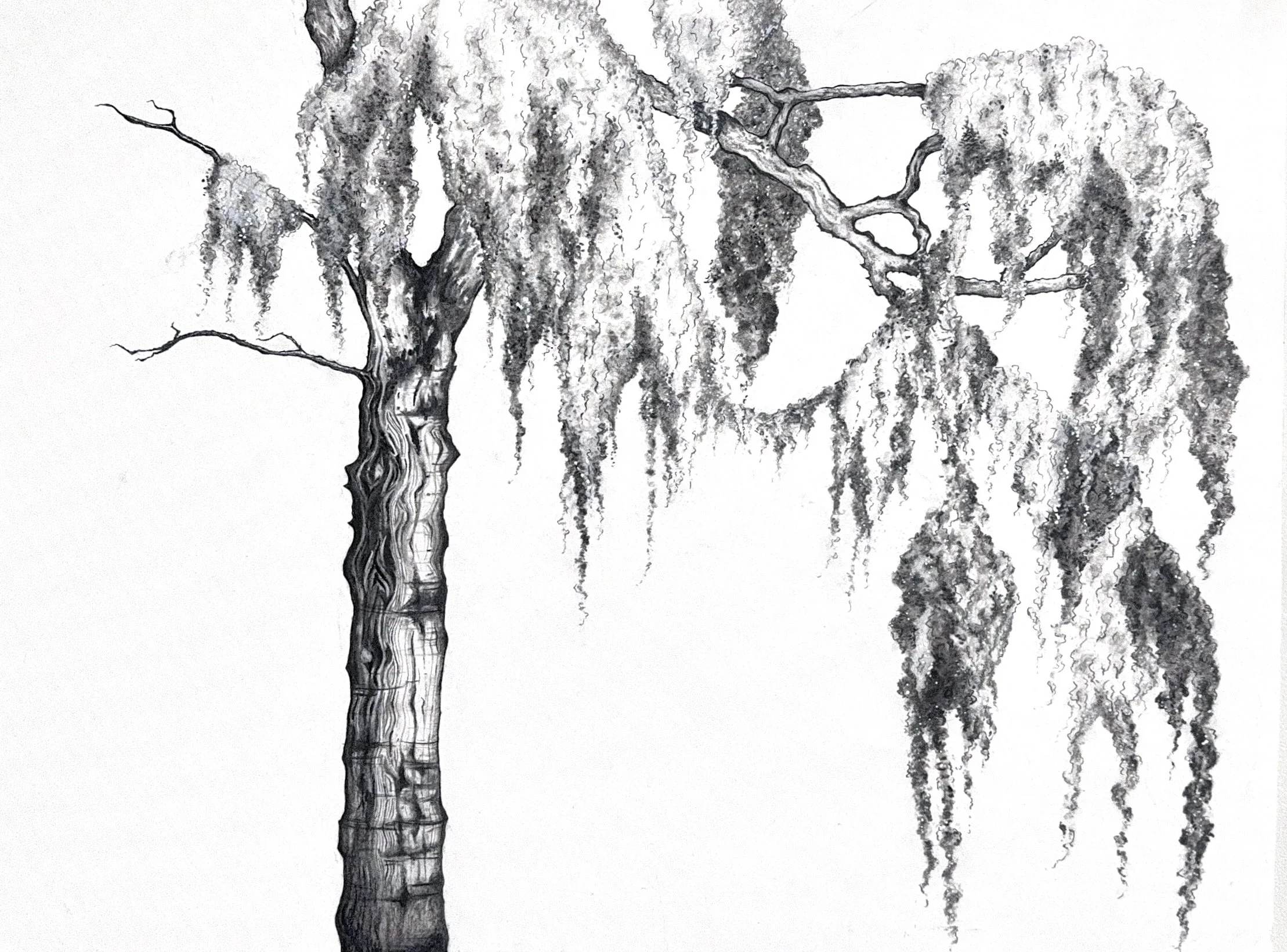 Jaz Dailey_Freshman.jpeg