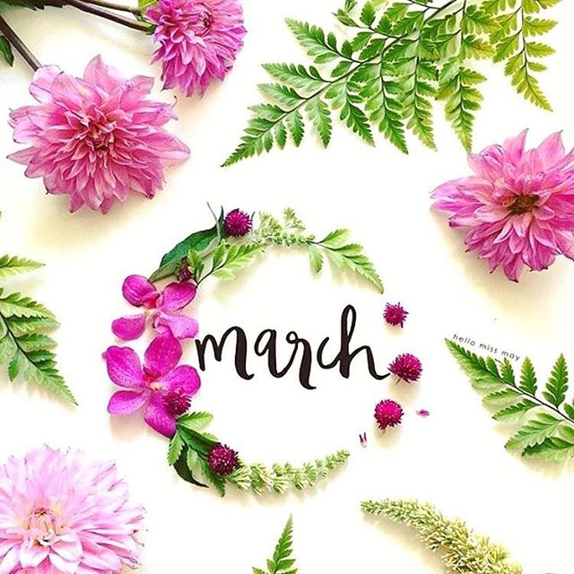 Hello, March! Please bring spring! 💐