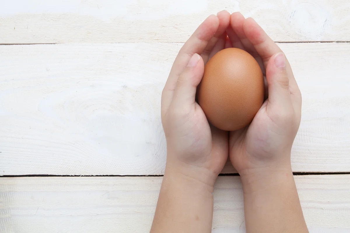 Independent Eggs Industry Standards.jpg