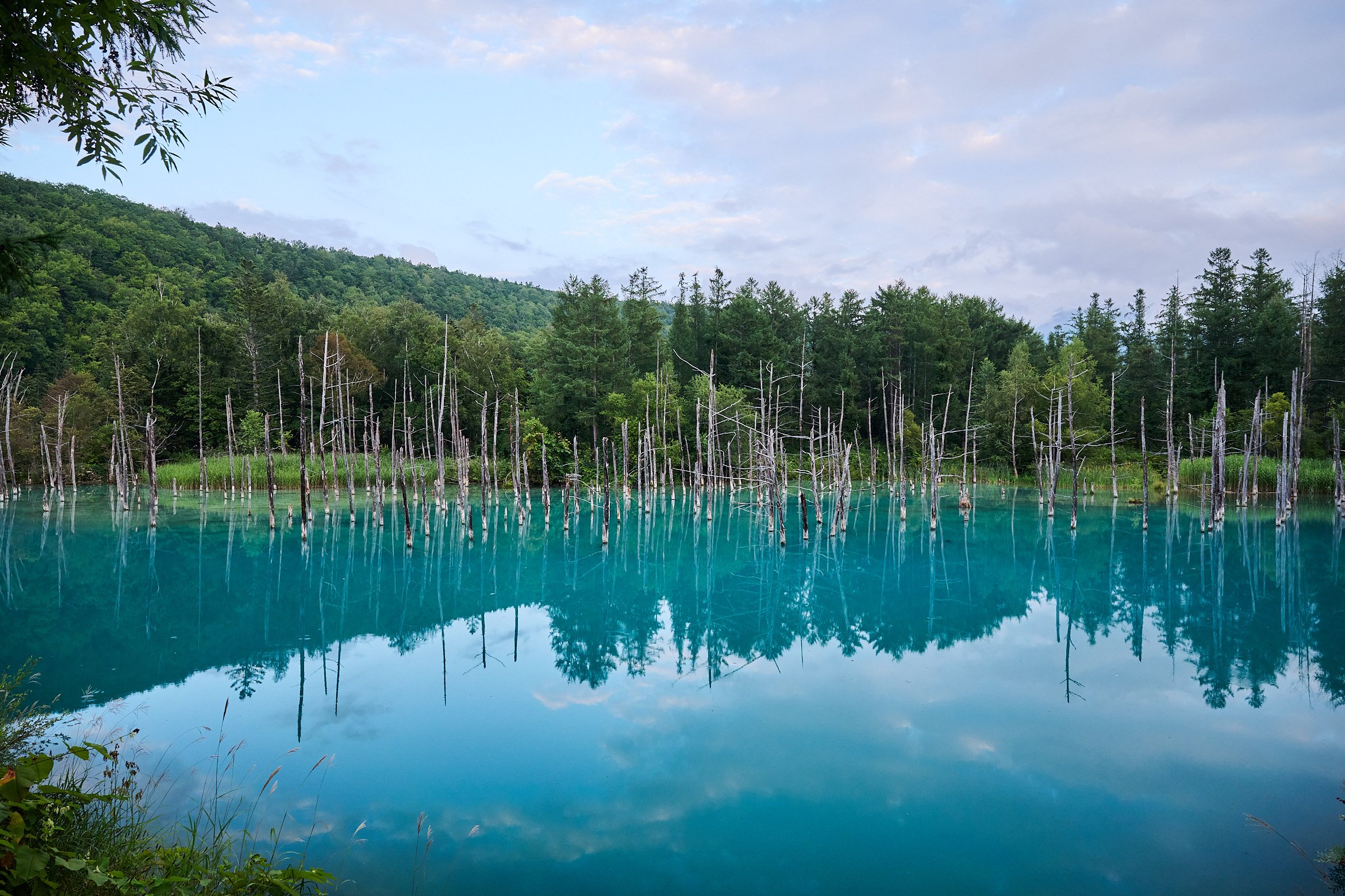 Biei Shirogane Blue Pond