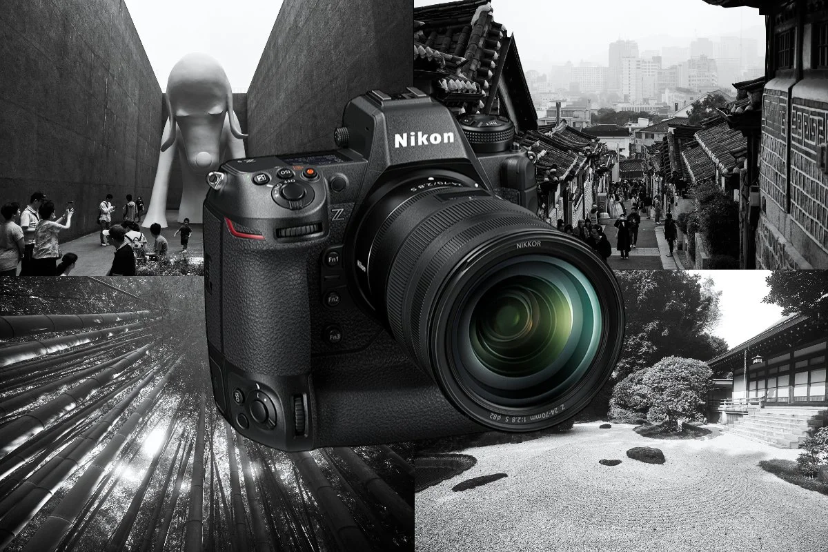 Nikon Z9 - Notes After 1 Year