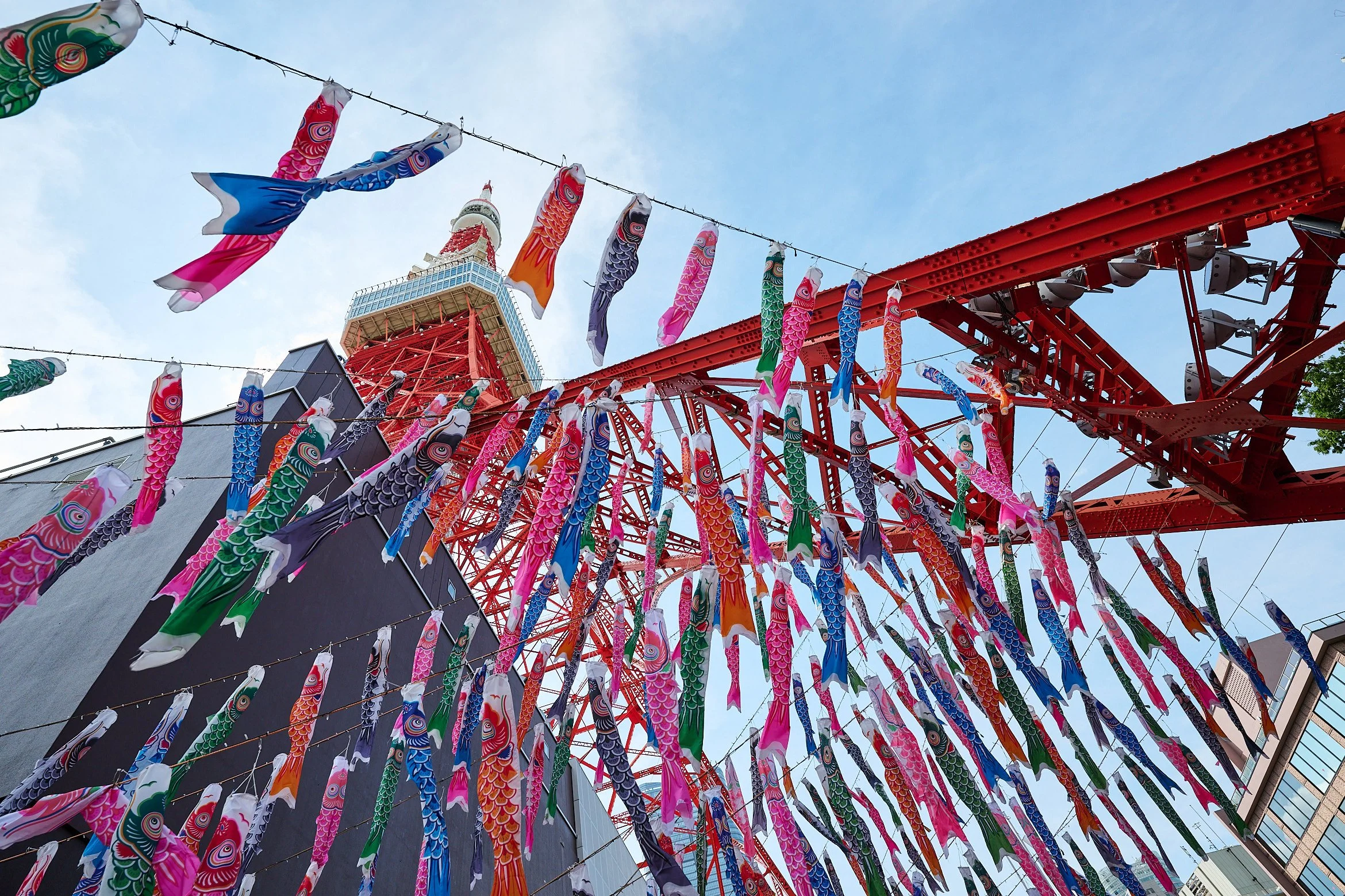 Koinobori Under Tokyo Tower