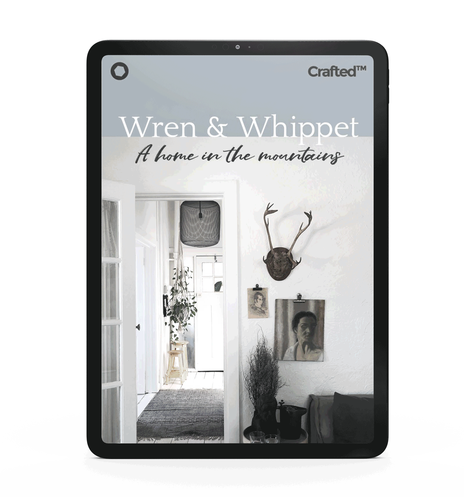Ipad_EDM_Wren.gif