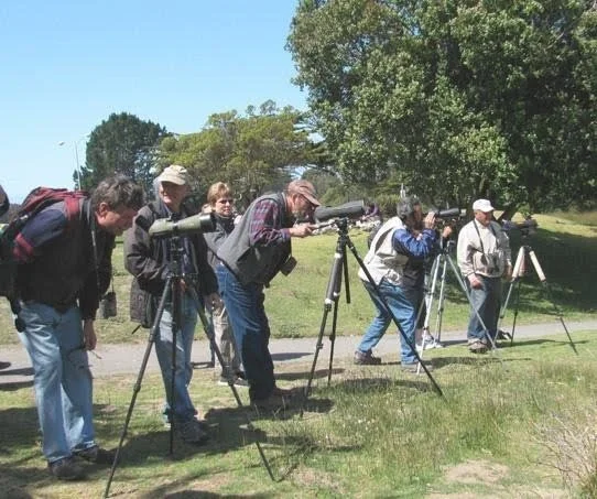 Private Bird Watching Trip