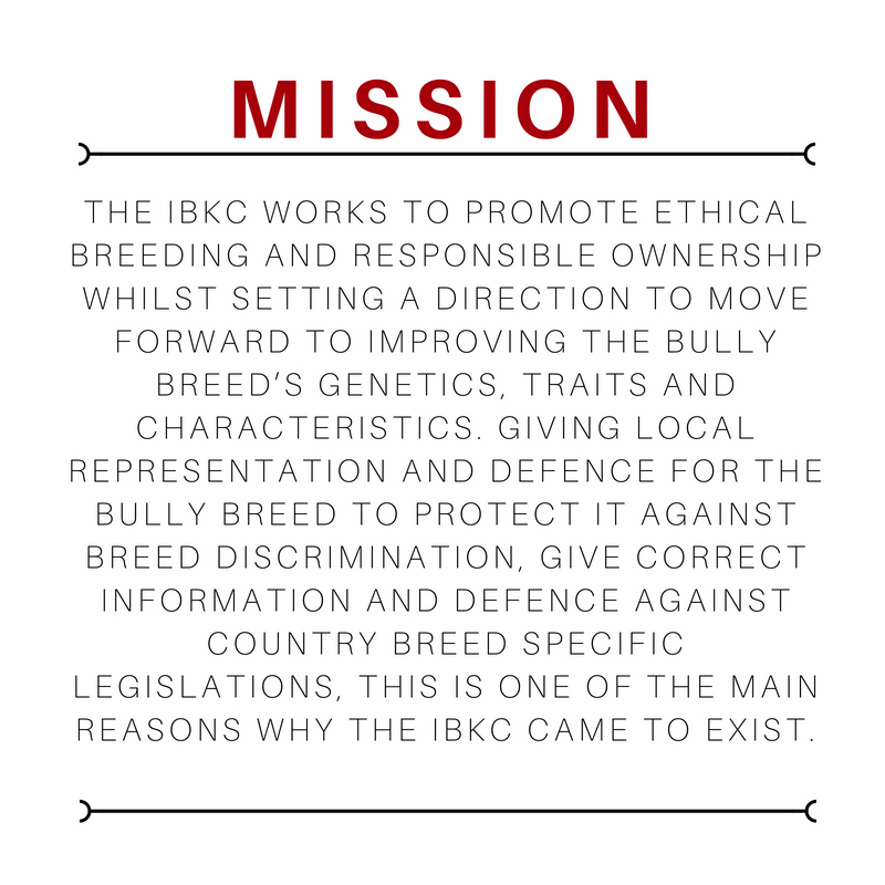 IBKC MISSION ABOUT SERVICES.jpg