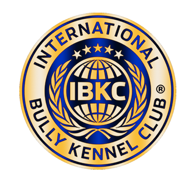 NEW IBKC LOGO GOLD AND BLUE.PNG