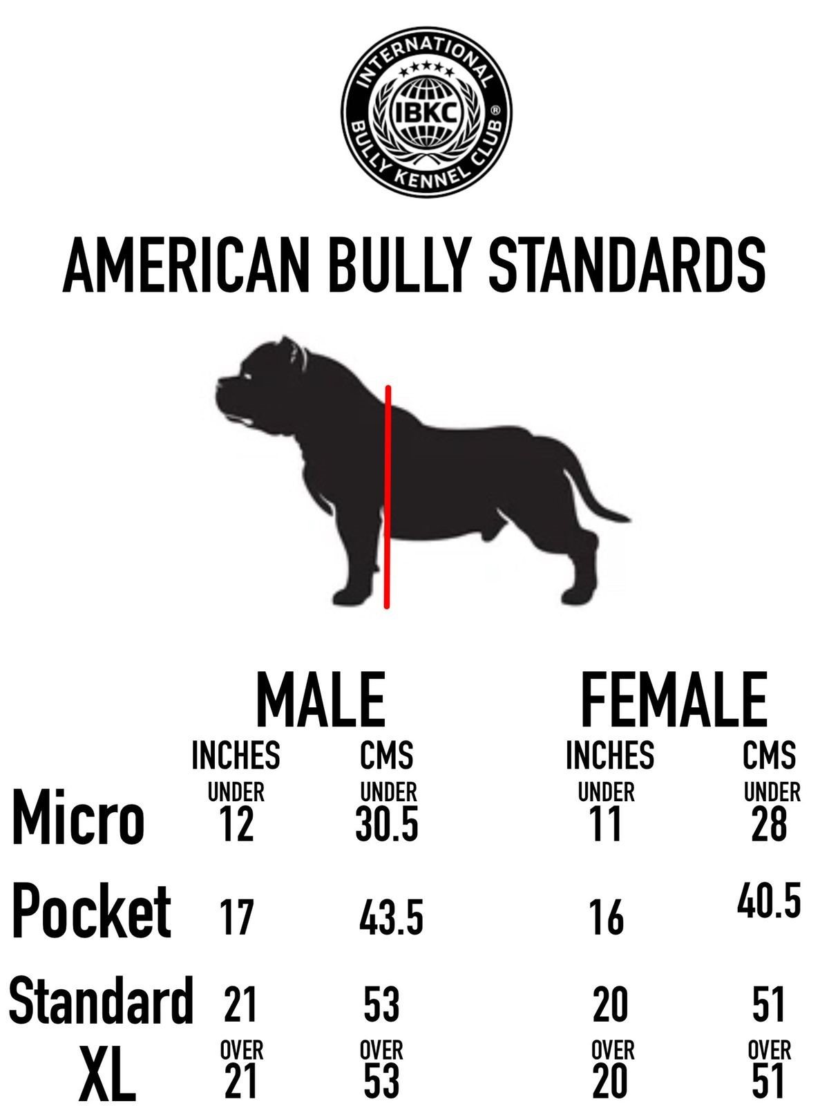 american bully standard poster.jpg