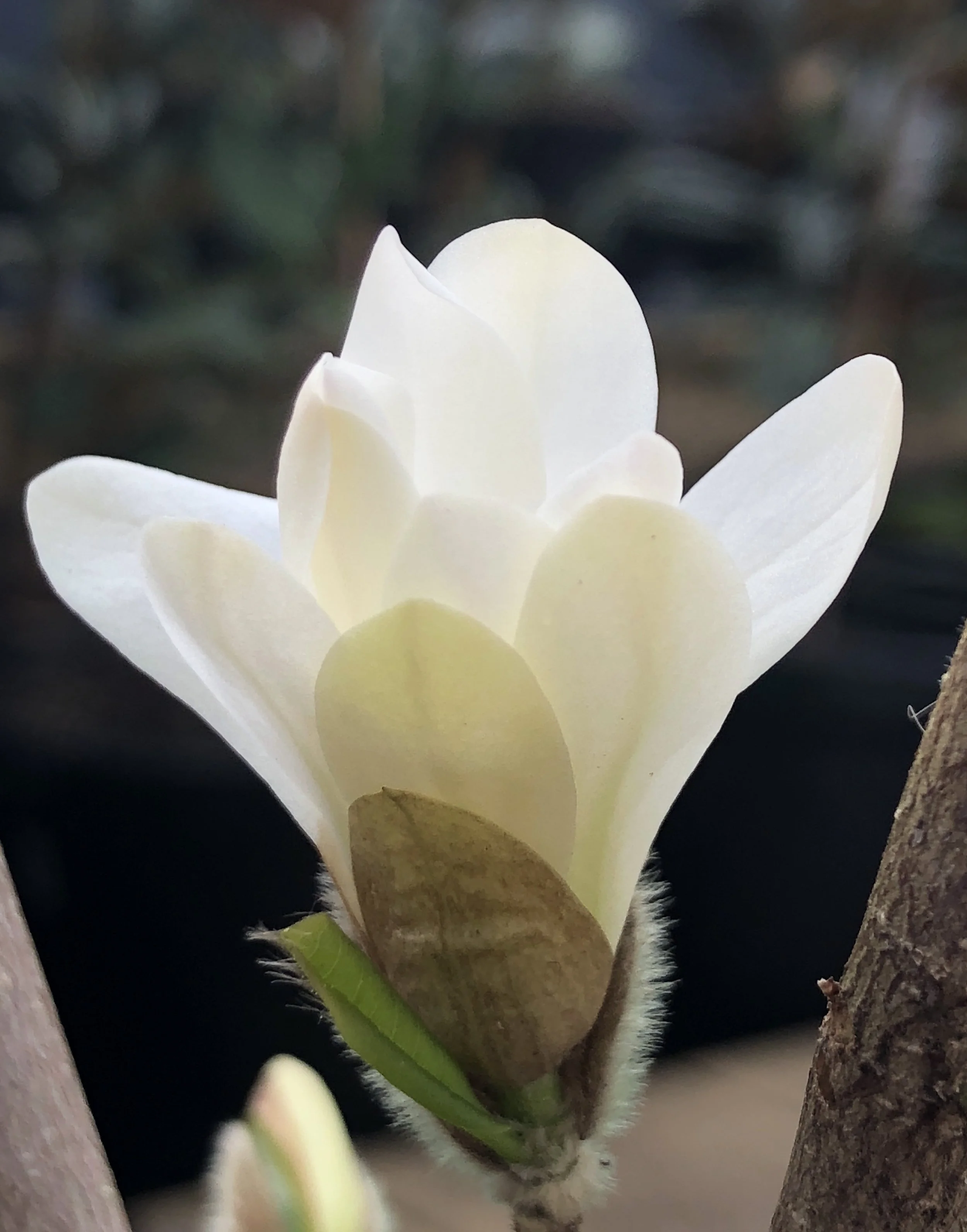 D428EA85-B21E-48A0-96A0-27436EF9A4FA