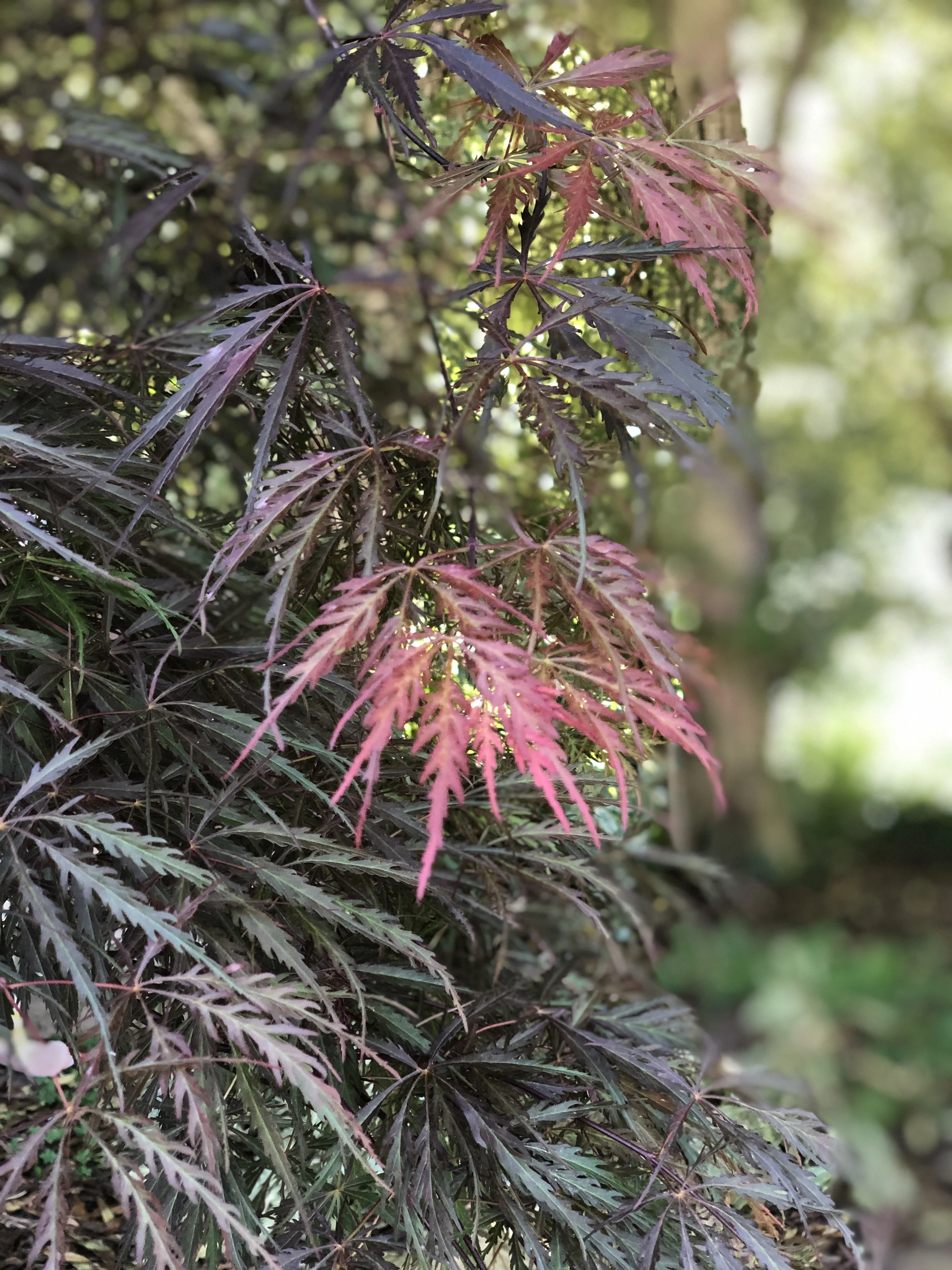 B8DD033C-02BF-40B0-AB70-089DA629B142