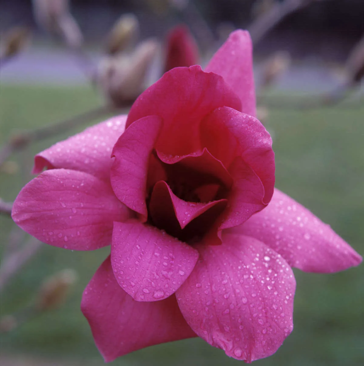 B19C2C24-C215-4C9E-BF7B-E552D73C3356