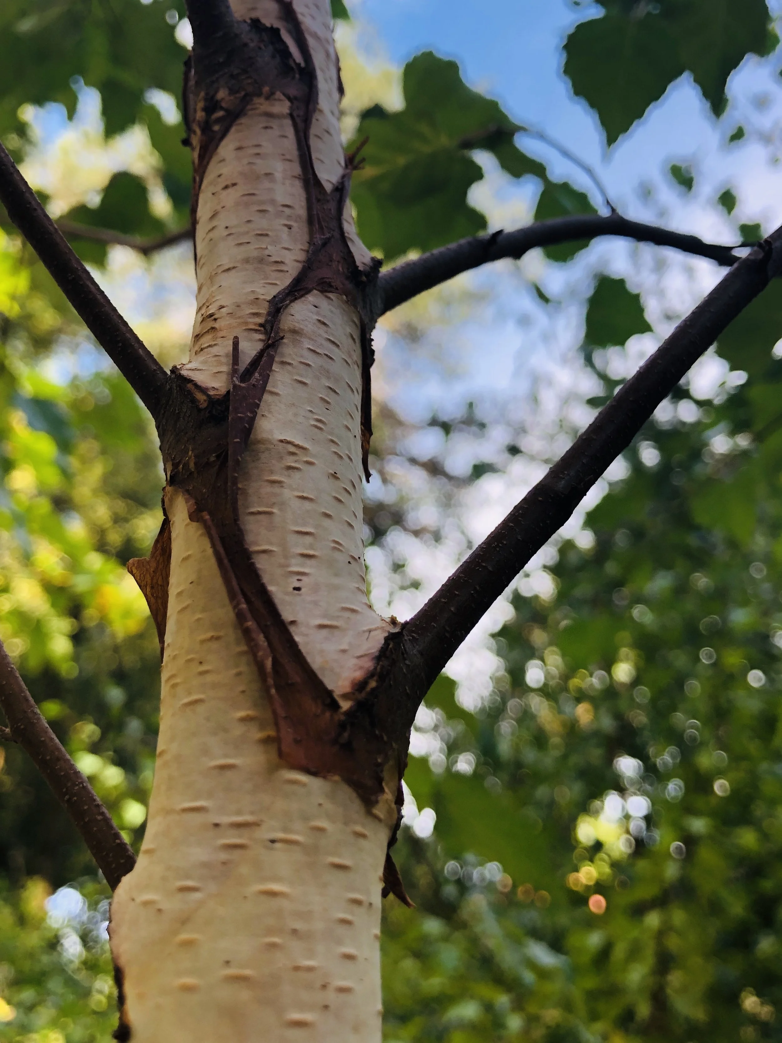 7C1E3EAA-9E95-48DB-92C2-ABBE6C489D5A