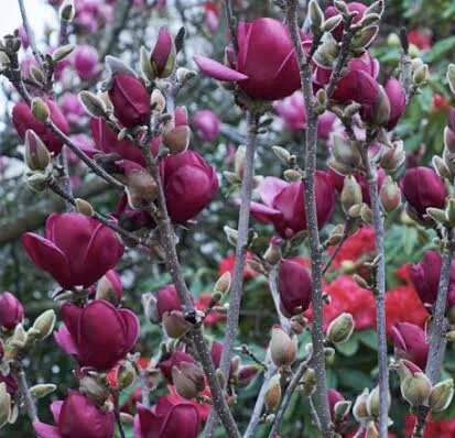 8E44BA4C-8B98-4B2F-BFE1-852DC86A112B