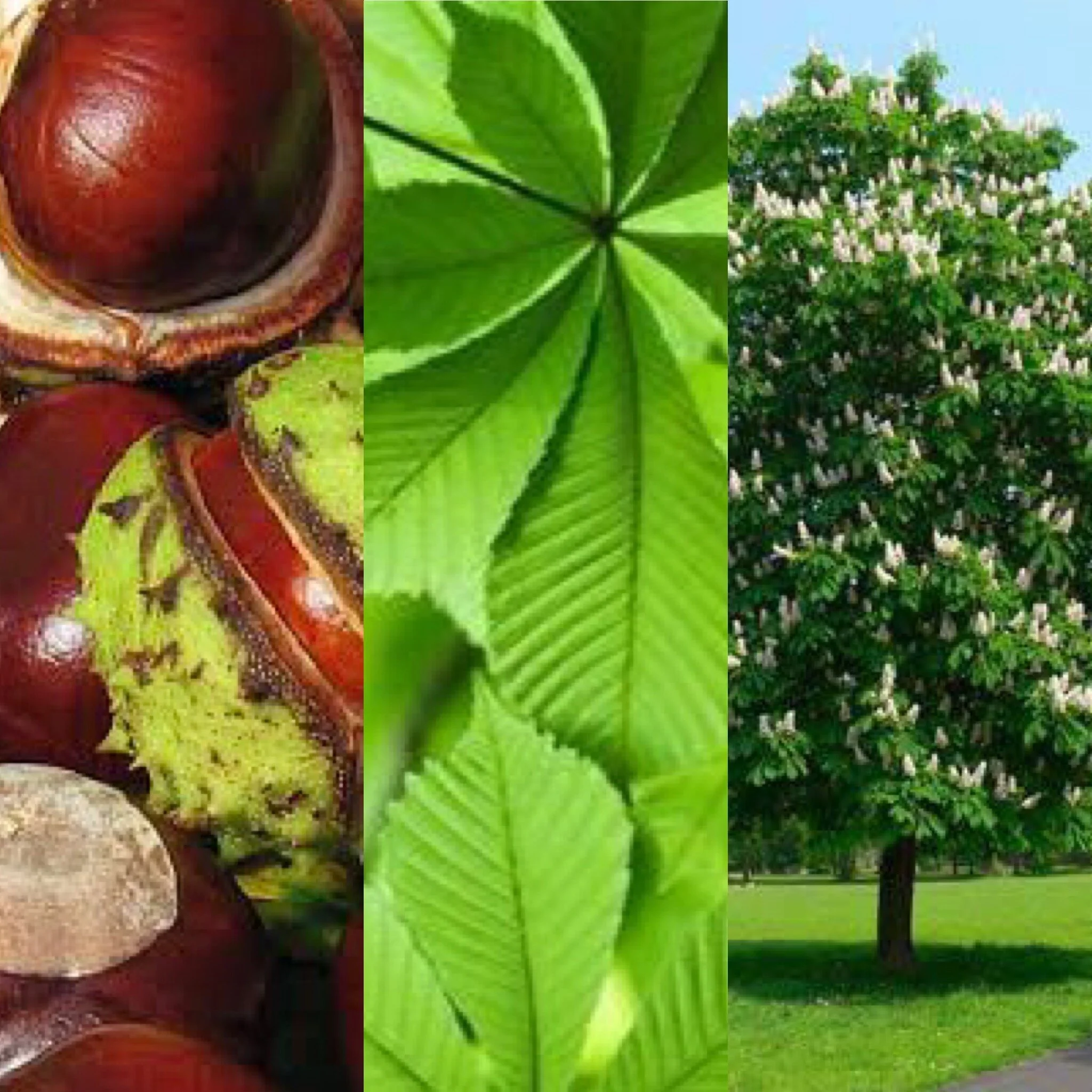 642515BD-46F9-459F-A1B8-66F433478E4B