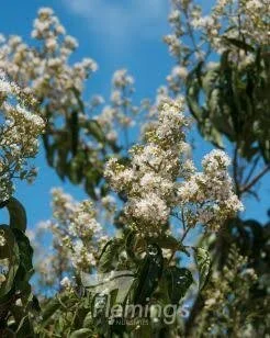 C940CDB6-F012-49FA-9E69-5930F88D486E