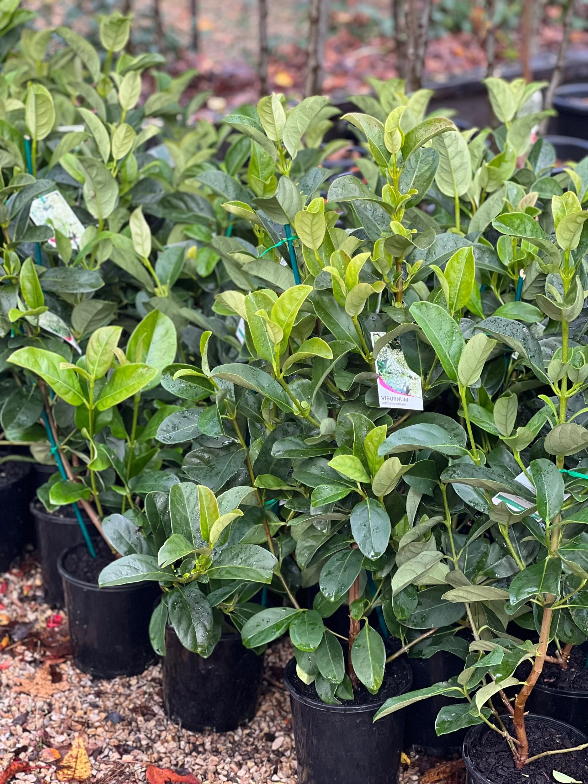 D6CC0411-0264-4815-BAE9-D9A8D022B01A