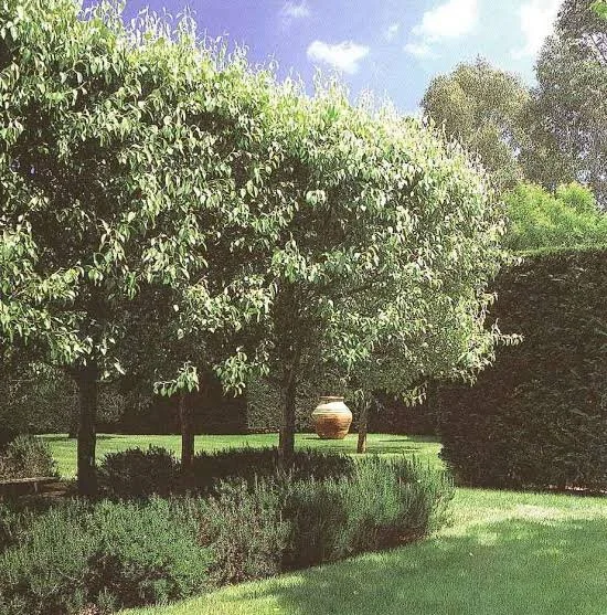 ADAA5823-0F45-48BF-B96C-3CBC3461D6F8