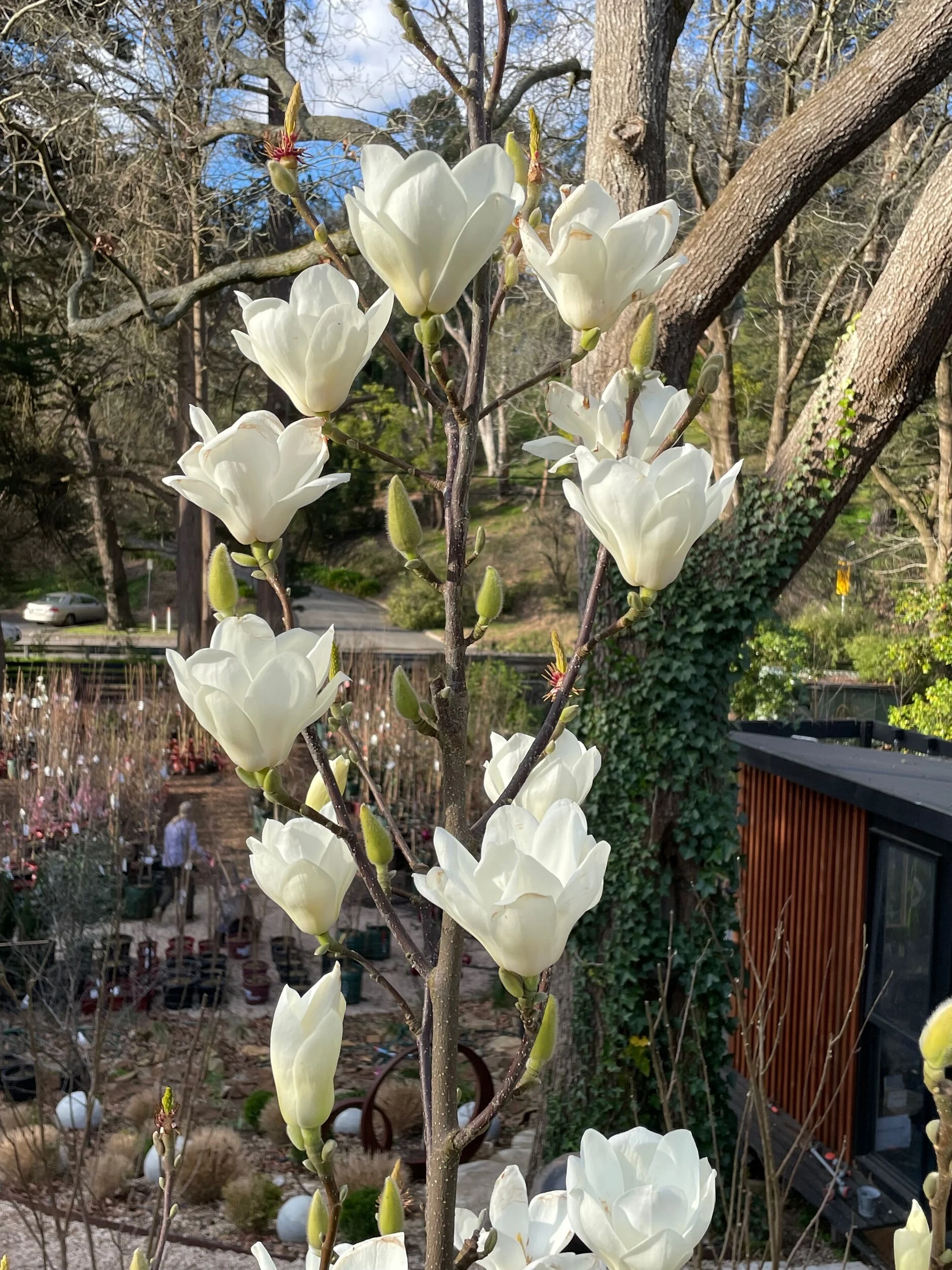 A5144C27-97D1-45B6-A28C-663FB55BC20D