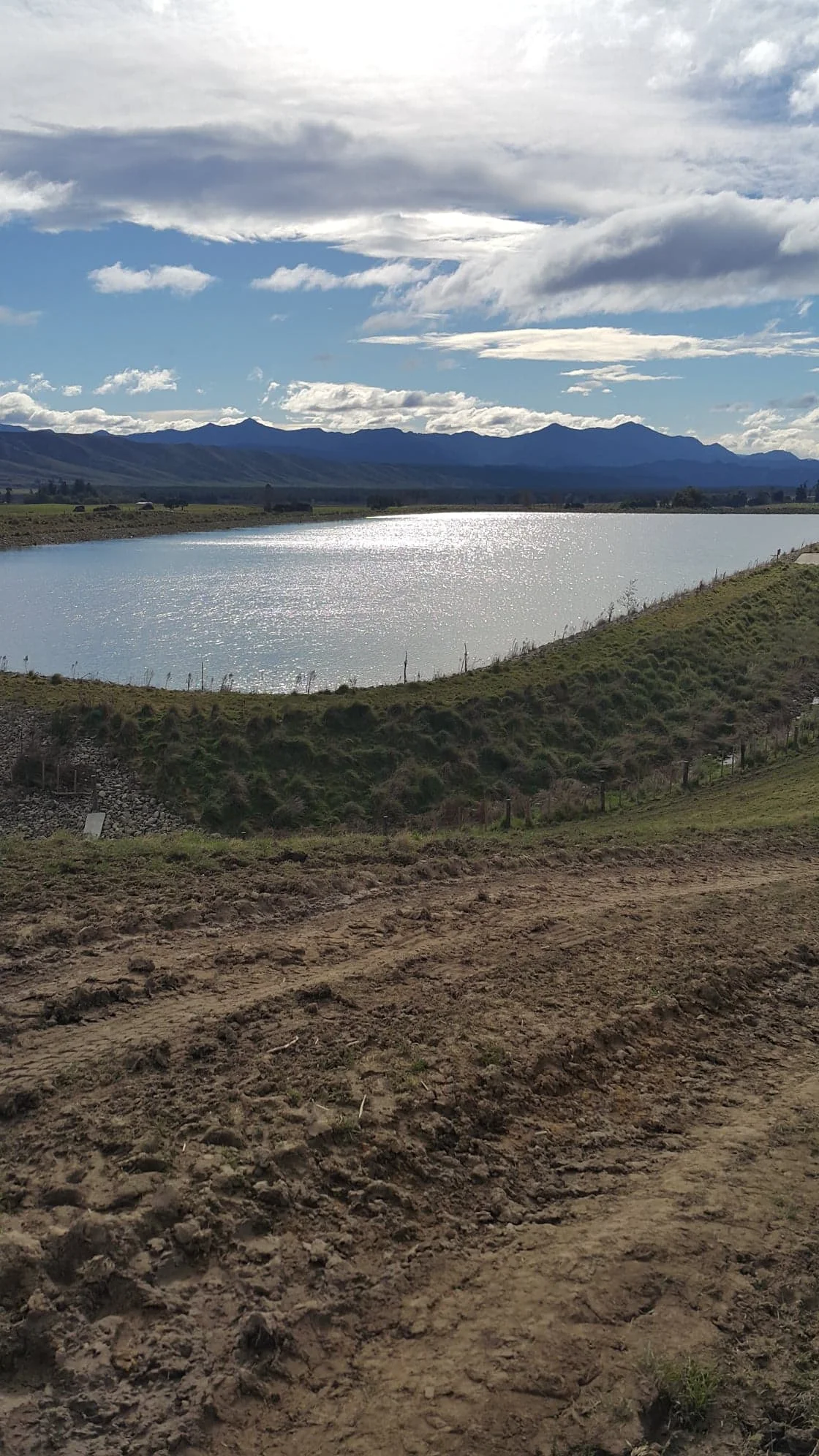 Irrigation pond on Marlborough vineyard