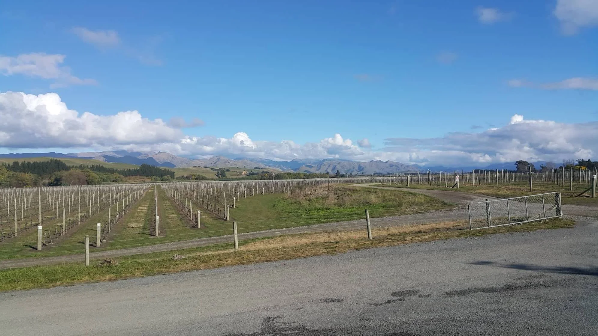 Outside Spy Valley, looking towards Waihopai Valley