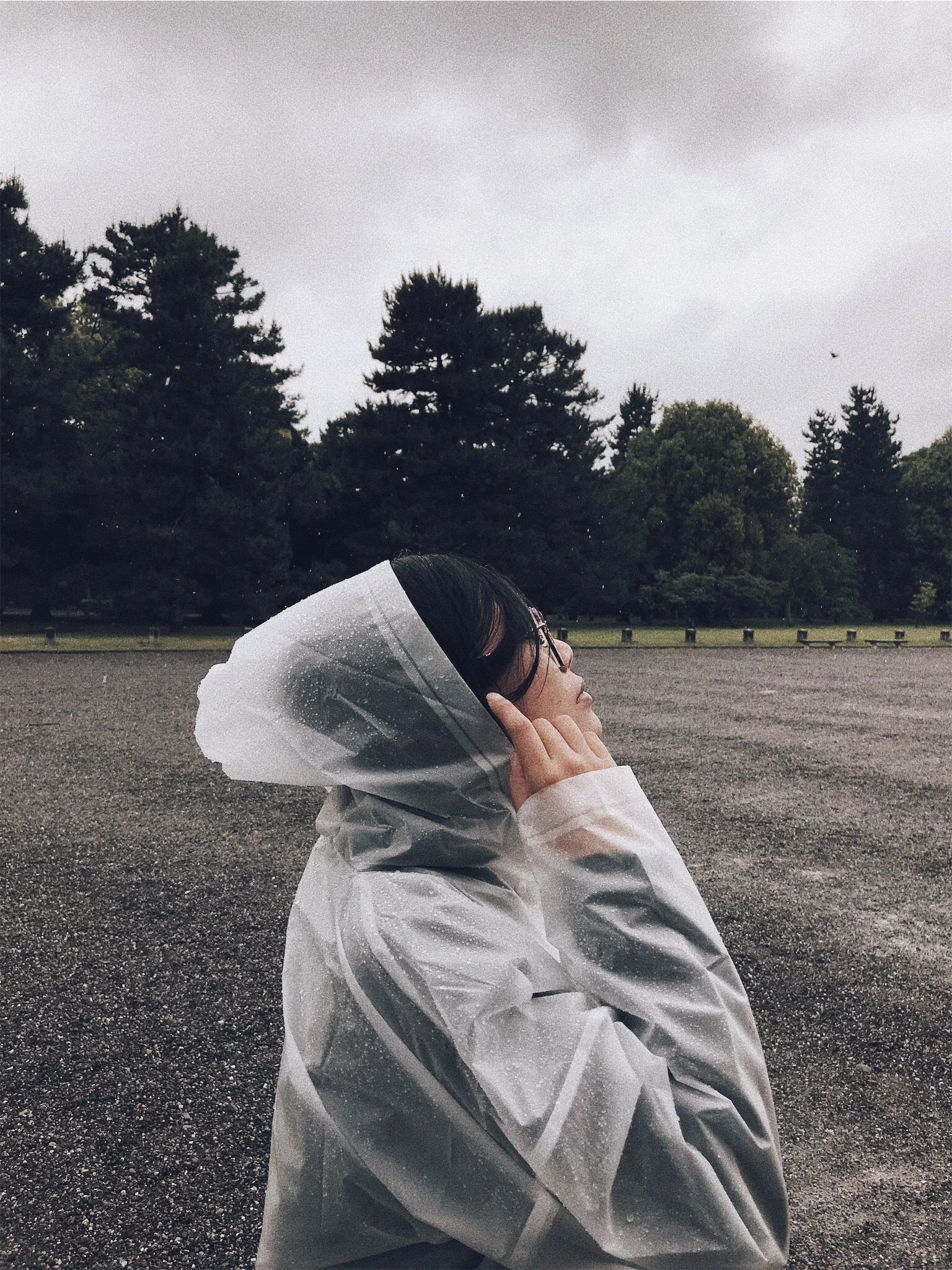 vsco5b5e613fd6b63.jpg