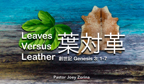 Leaves Versus Leather